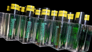 IMPERFECTION  AT ITS BEST BODY FRAGRANCE OIL Set Of 3